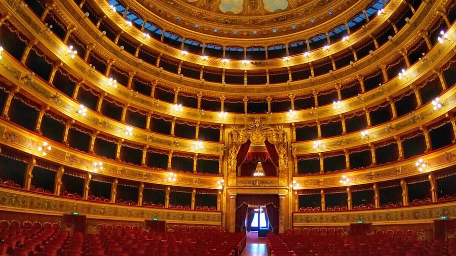 Stunning interior of the Massimo Theater Palermo.
Well worth a visit.
Taken on a Sony a6000 & a 7artisans fish eye lens.
