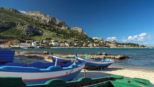 Palermo (Italy)