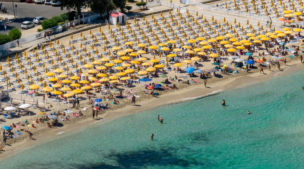 Palermo