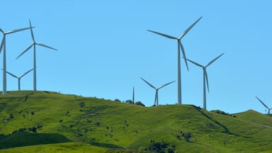Te Apiti Wind Farm in Palmerston North, New Zealand