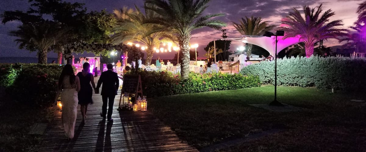 A nighttime outdoor event with illuminated string lights, palm trees, and a pathway leading to a gathering area.