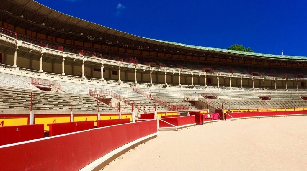Visited with mixed feelings but was an interesting tour and enlightening about the cult of the matador.