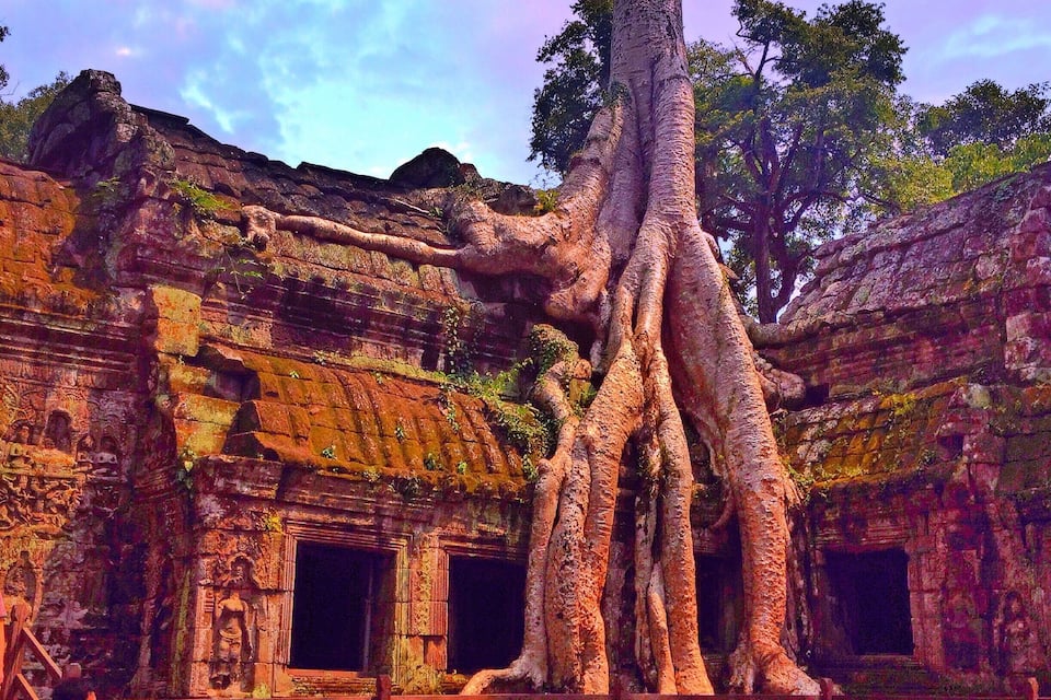 Un templo con grandes raíces de árbol entrelazadas en su estructura.