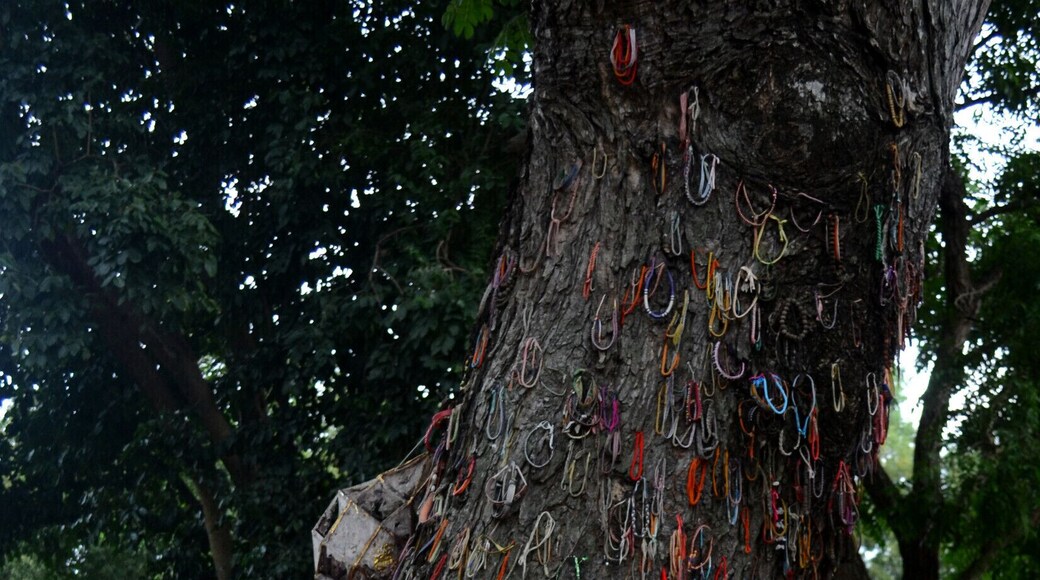 Walking through the killing fields is sobering at its brightest and heart shattering the rest of the time. It is, however, something that must be experienced lest we allow evil to continue in our world unabated.