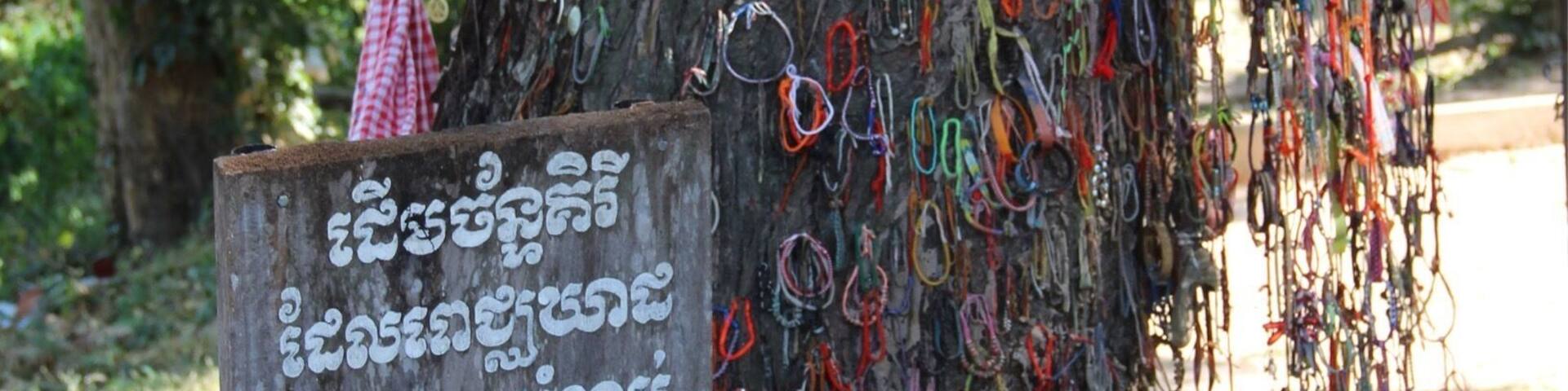 A tree with colorful paper clips hanging from it and a sign that reads "Killing tree against which executioners beat children".
