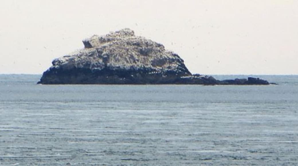 Ortac from above Clonque Bay, Alderney, Channel Islands, British Isles