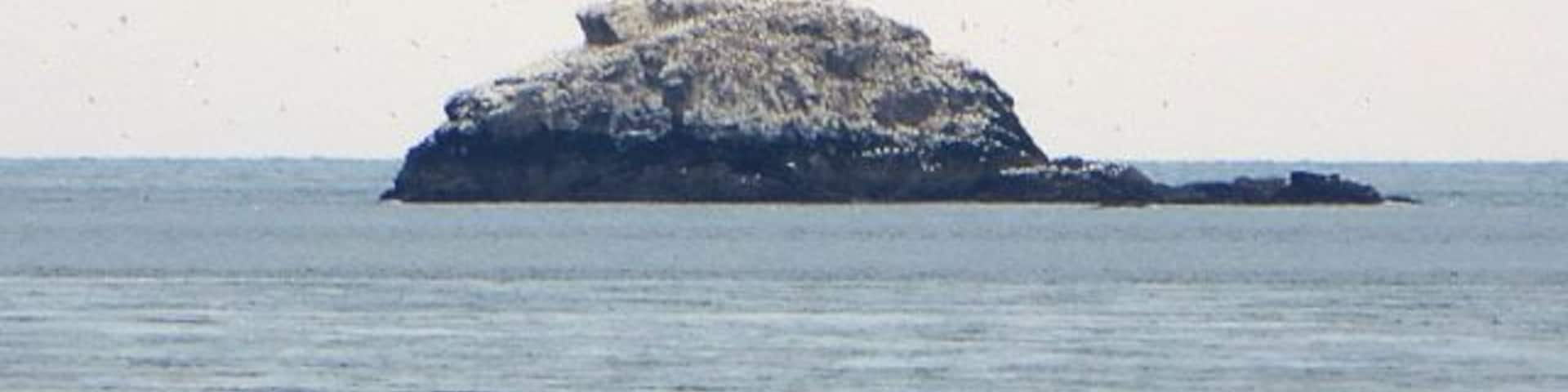 Ortac from above Clonque Bay, Alderney, Channel Islands, British Isles