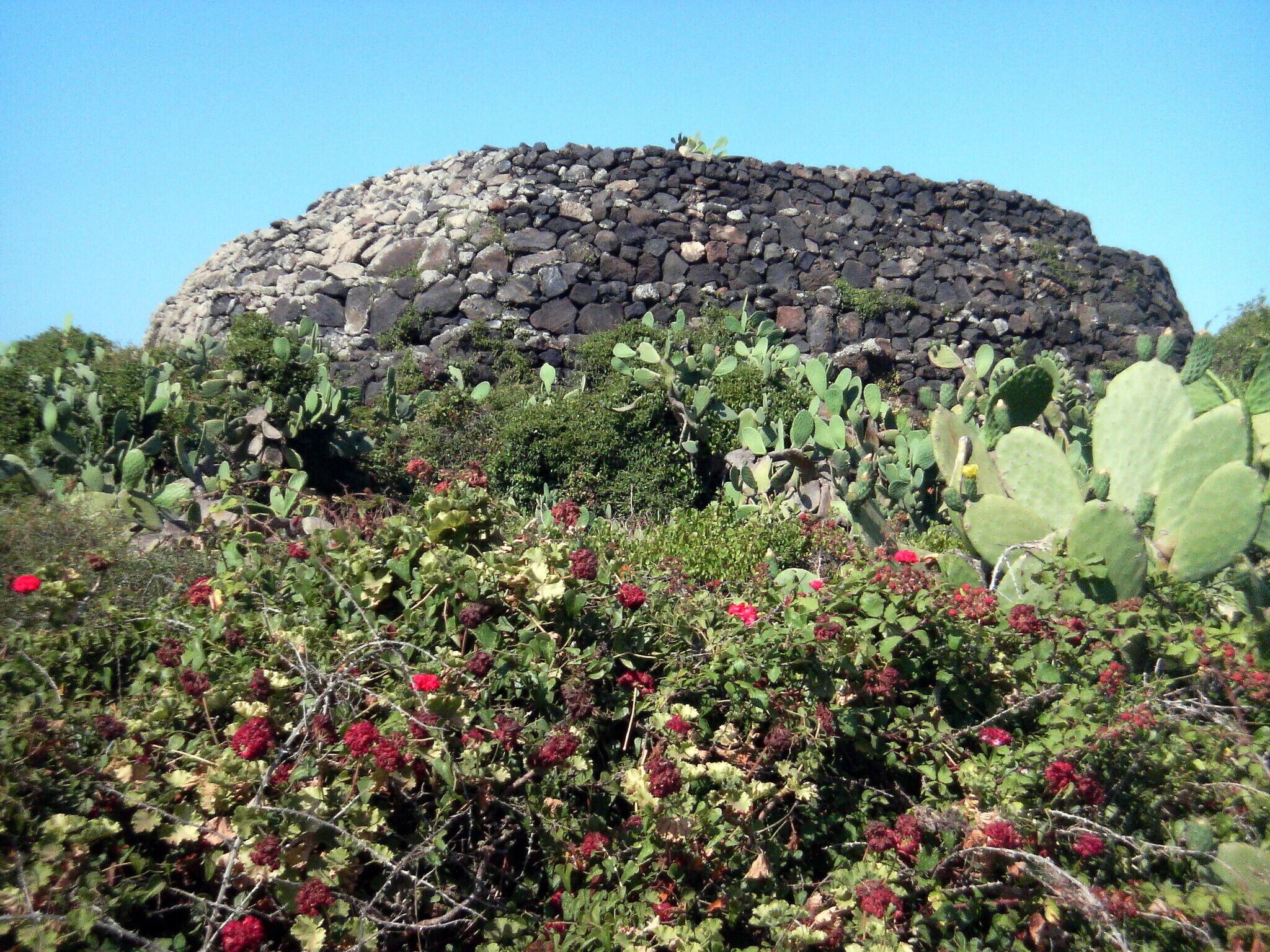 Pantelleria: Sese grande (o 'Sese del Re')