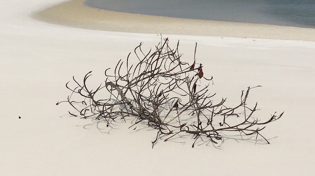 After 20 minutes of boat, you can find this beautiful beach, very quiet.