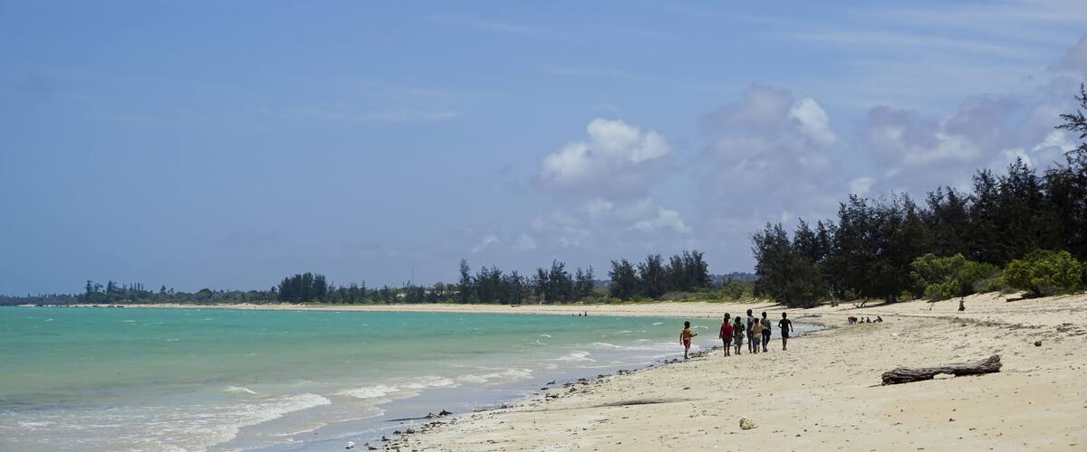 A beach with clear turquoise water, a sandy shore, and a line of trees in the background.