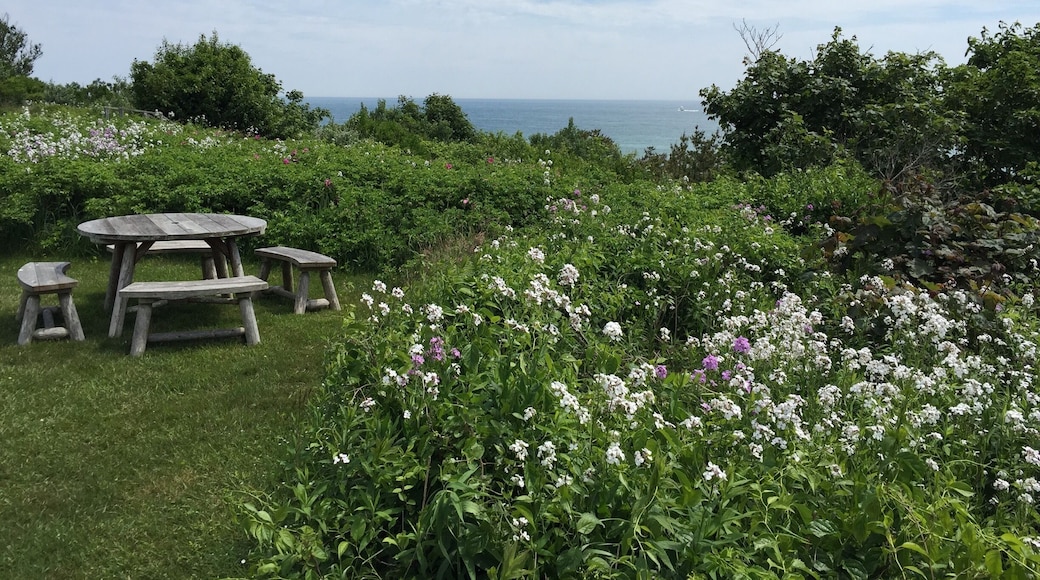 Walk through the front yard of expensive ocean front properties during the bluff walk.