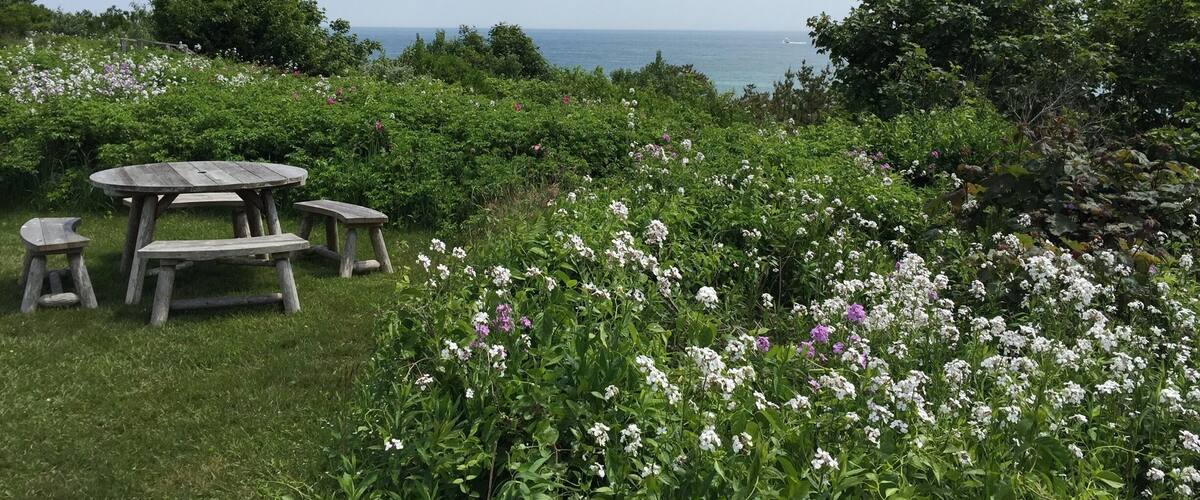 Walk through the front yard of expensive ocean front properties during the bluff walk.