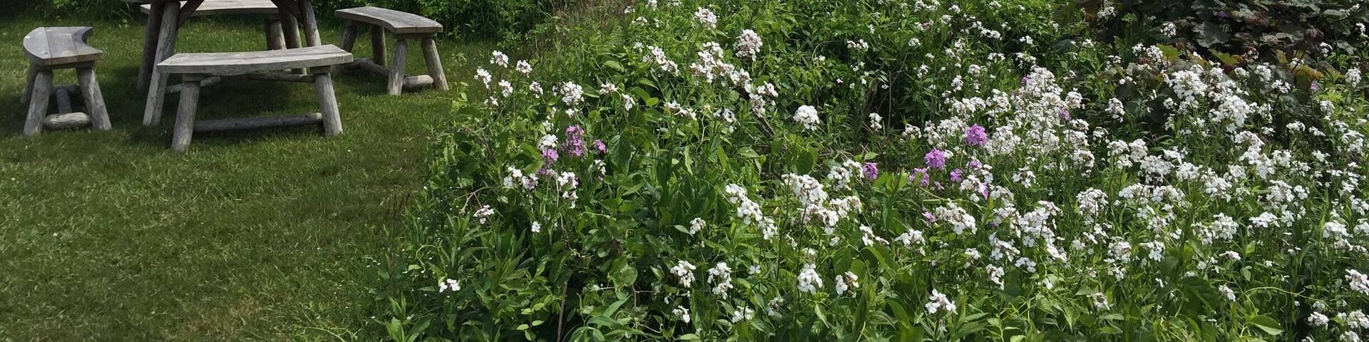 Walk through the front yard of expensive ocean front properties during the bluff walk.