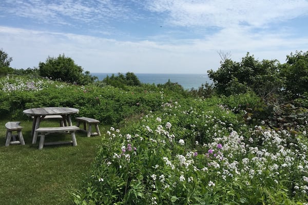 Walk through the front yard of expensive ocean front properties during the bluff walk.