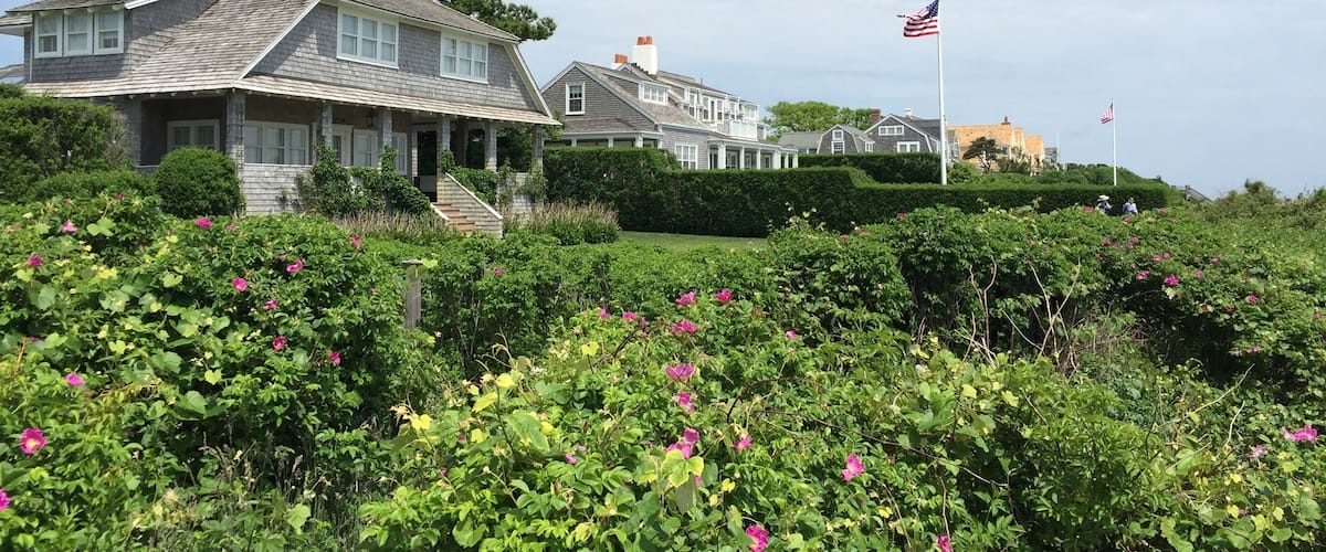 A large house with a chimney, surrounded by lush greenery and pink flowers.