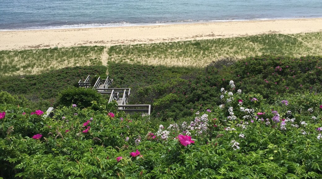 Private staircase for beach access...surrounded by pink and white wild roses.