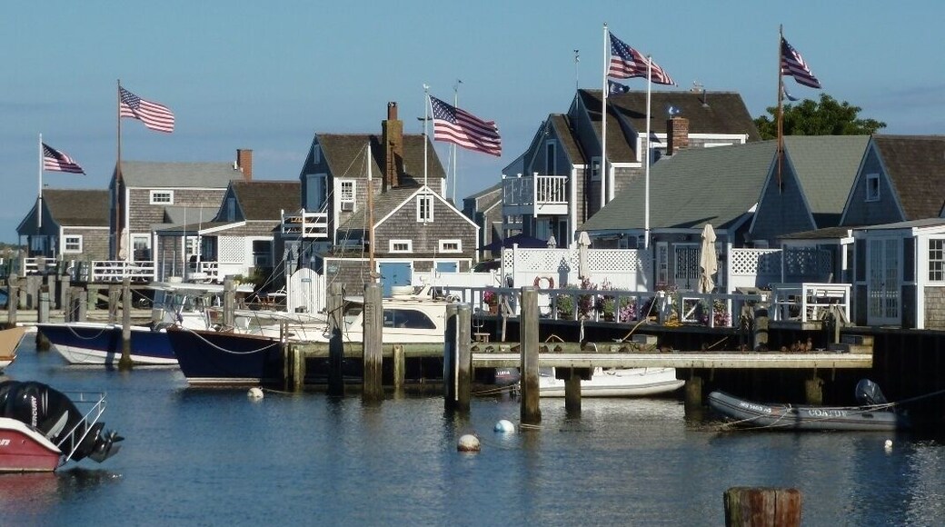 Welcome to the beautiful harbor on Nantucket Island. Two hours by ferry from Hyannis! (Pups are allowed.)