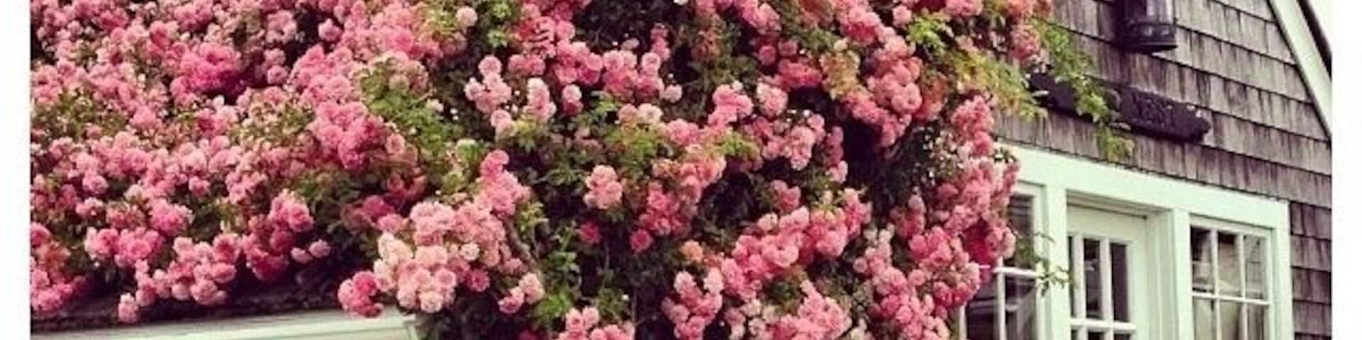 beautiful 'sconset cottage