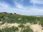 A coastal landscape with a sandy beach, grassy dunes, and houses in the background.