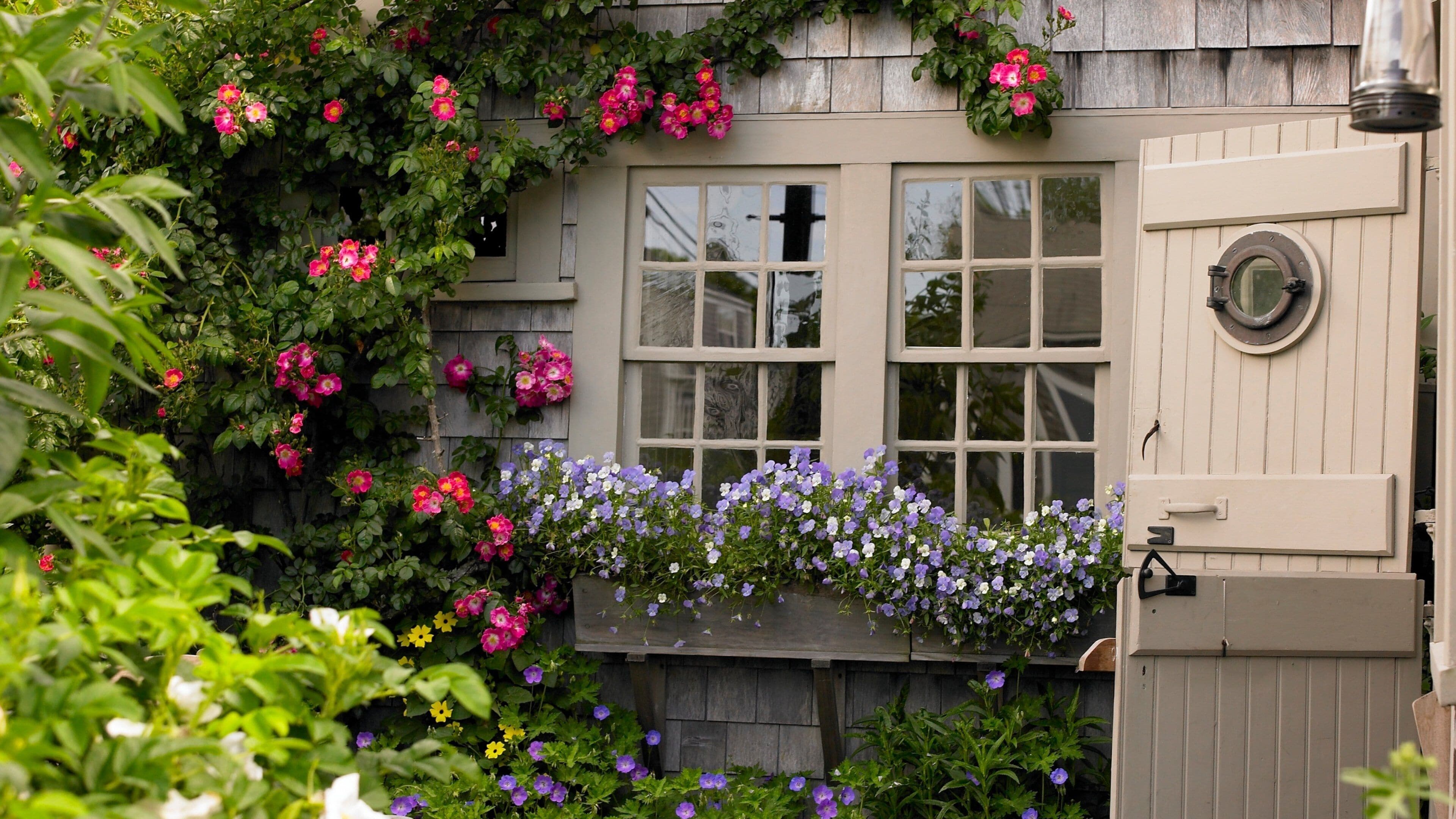 A house with a window, a wooden fence, and various flowers.
