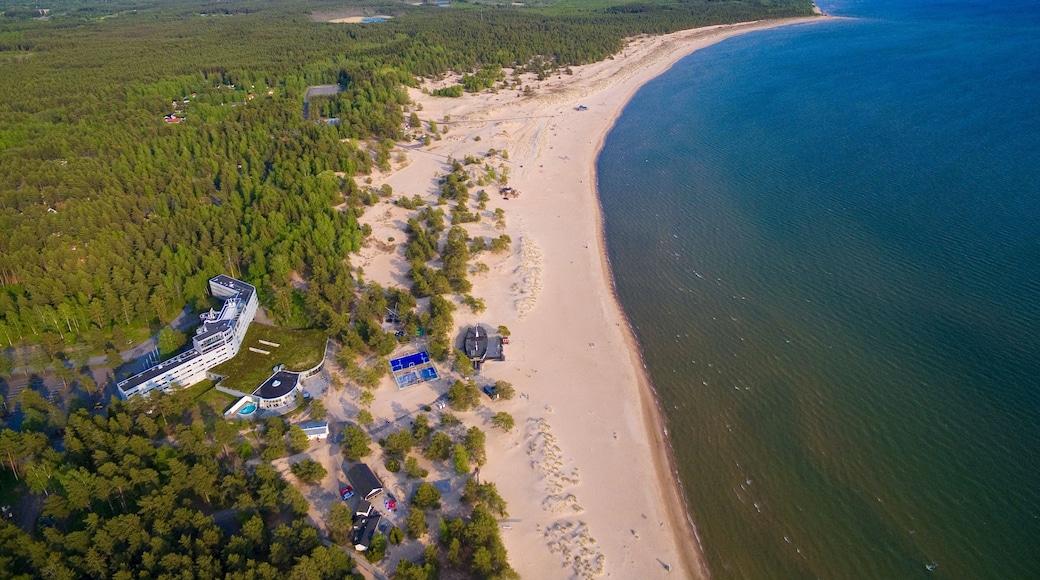 Vista aérea de una zona costera con playa de arena, bosque denso y un gran crucero amarrado cerca de una pequeña zona turística.
