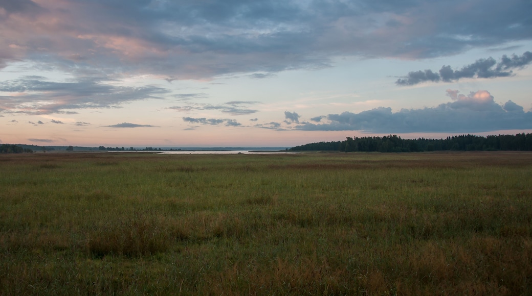 Early morning marshlands in Pori, Finland