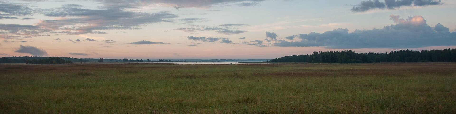 Early morning marshlands in Pori, Finland