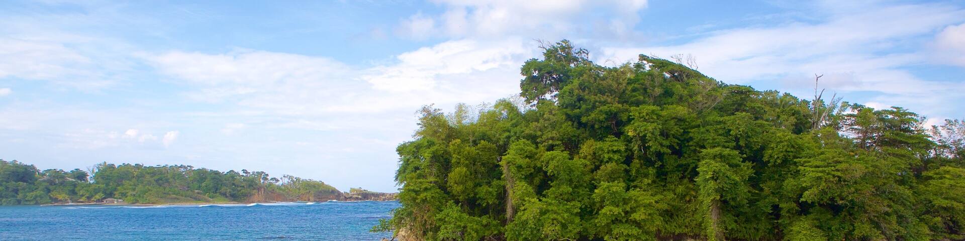 Port Antonio featuring general coastal views