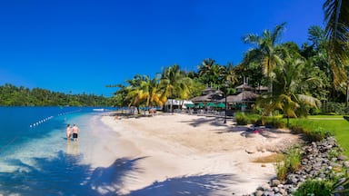 Une plage à l’eau turquoise et limpide, bordée de palmiers et abritant un bâtiment à toit de chaume.