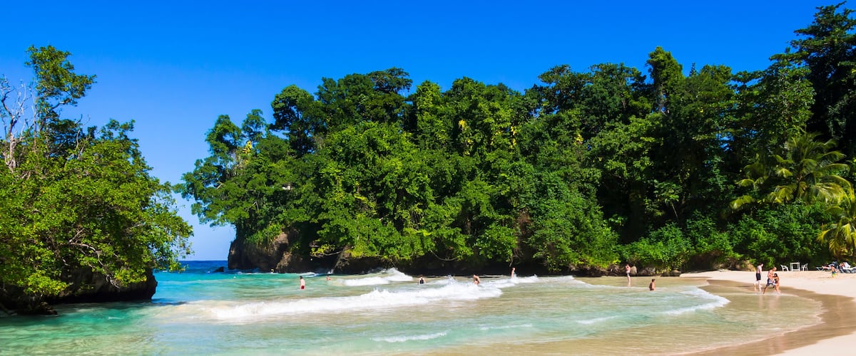 A beach with clear turquoise water, sandy shore, and dense green foliage.