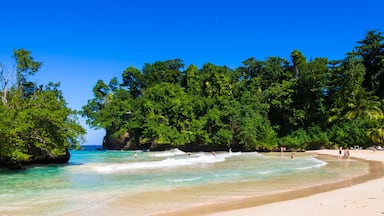 Uma praia com águas turquesa cristalinas, areal arenoso e vegetação verde exuberante.
