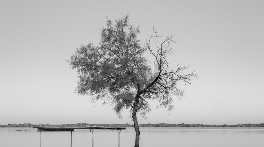 Due to heavy rains the lake raised to the tree lines causing some nice reflections.