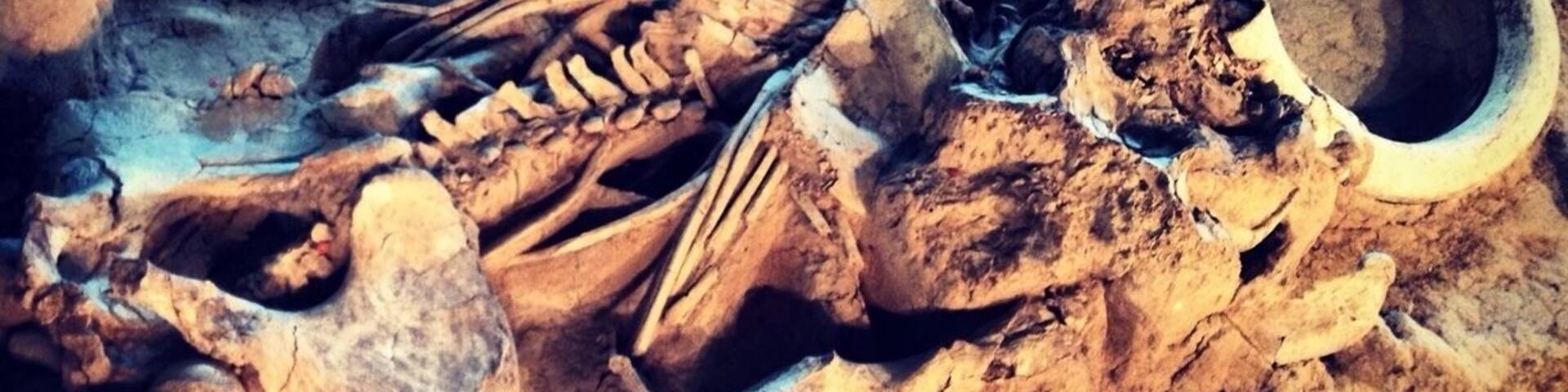 Hang out for the guided tour at the dig site. Very informative! Awesome place! Will only take about an hour to finish up tho so don't plan a whole day around it. #kidsfun