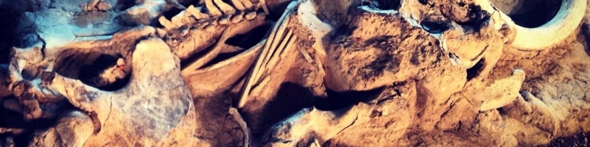 Hang out for the guided tour at the dig site. Very informative! Awesome place! Will only take about an hour to finish up tho so don't plan a whole day around it. #kidsfun