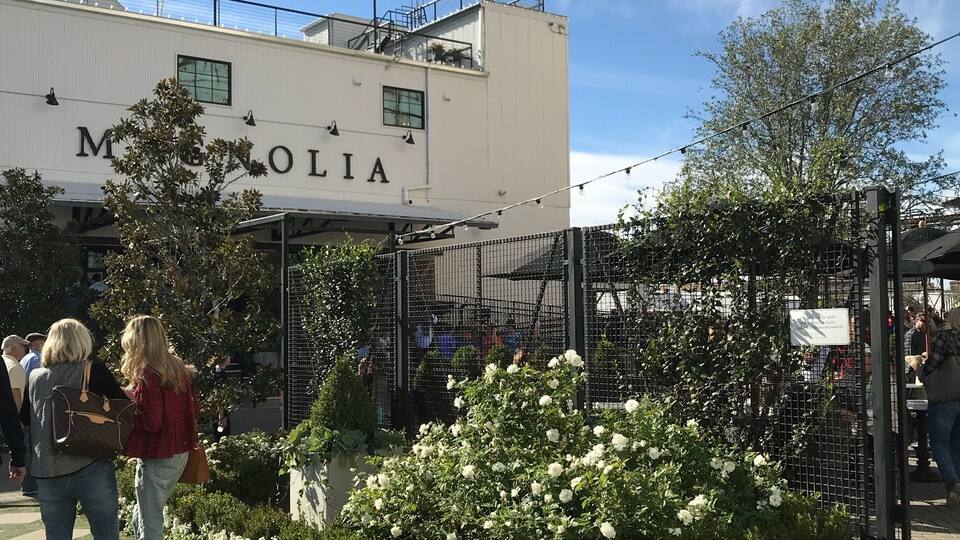 Magnolia market