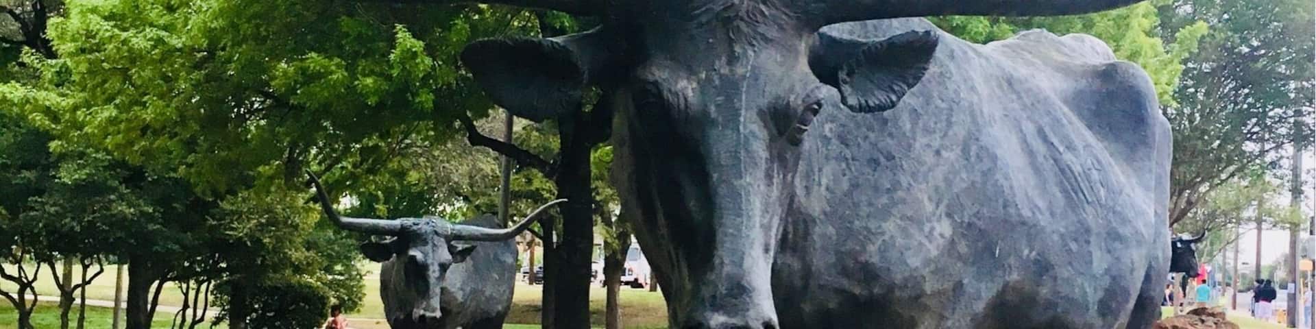 Longhorn statues in downtown Waco near the Suspension Bridge