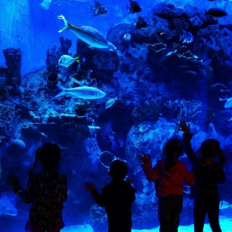 One of the best zoos in central Texas! #kidsfun