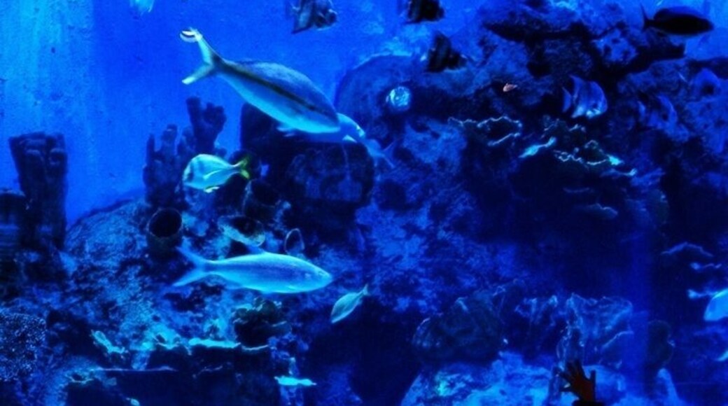 One of the best zoos in central Texas! #kidsfun