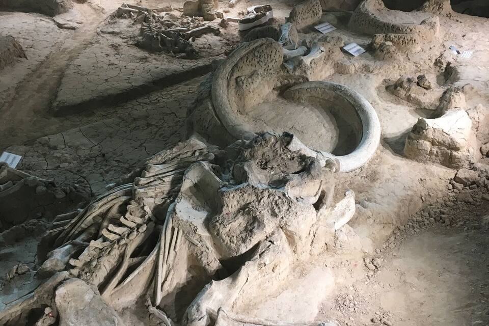An archaeological site with exposed skeletal remains and artifacts.