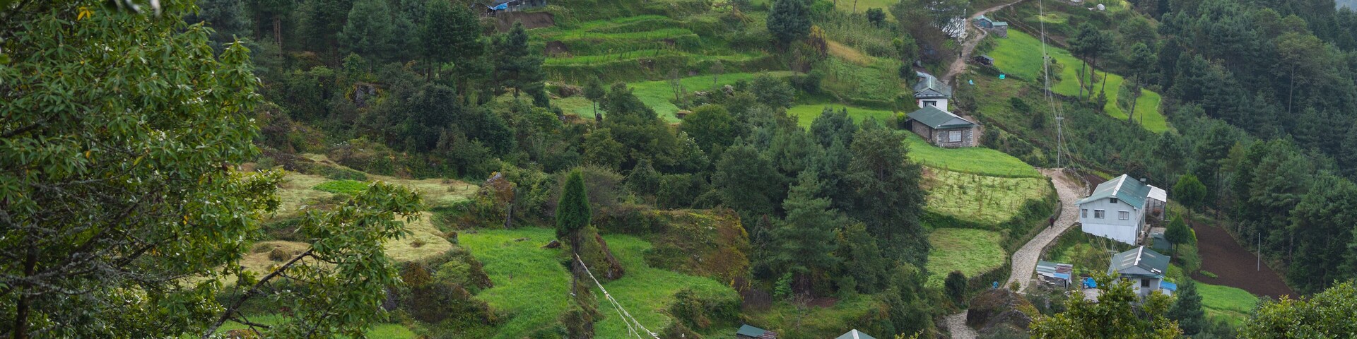 A lush green hillside with terraced fields and scattered houses.