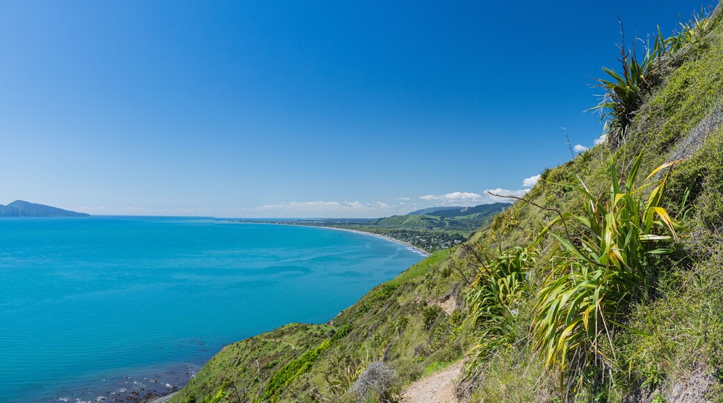 ปาราปาเรามู