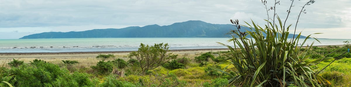 Un paysage côtier avec une plage, une végétation verdoyante et des montagnes lointaines sous un ciel nuageux.