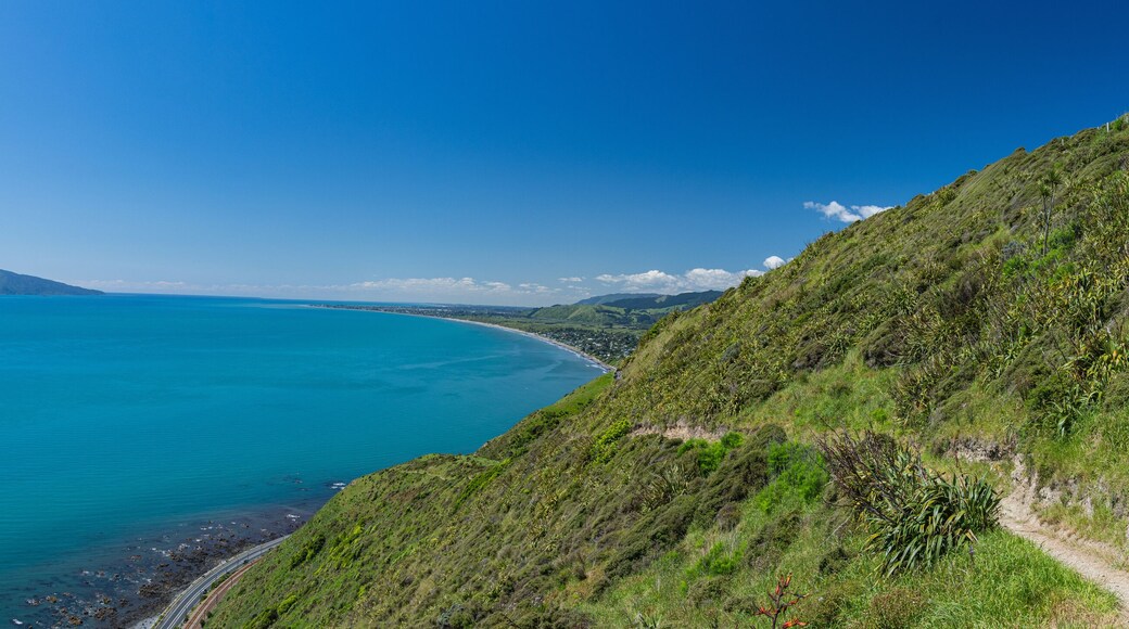 Paraparaumu