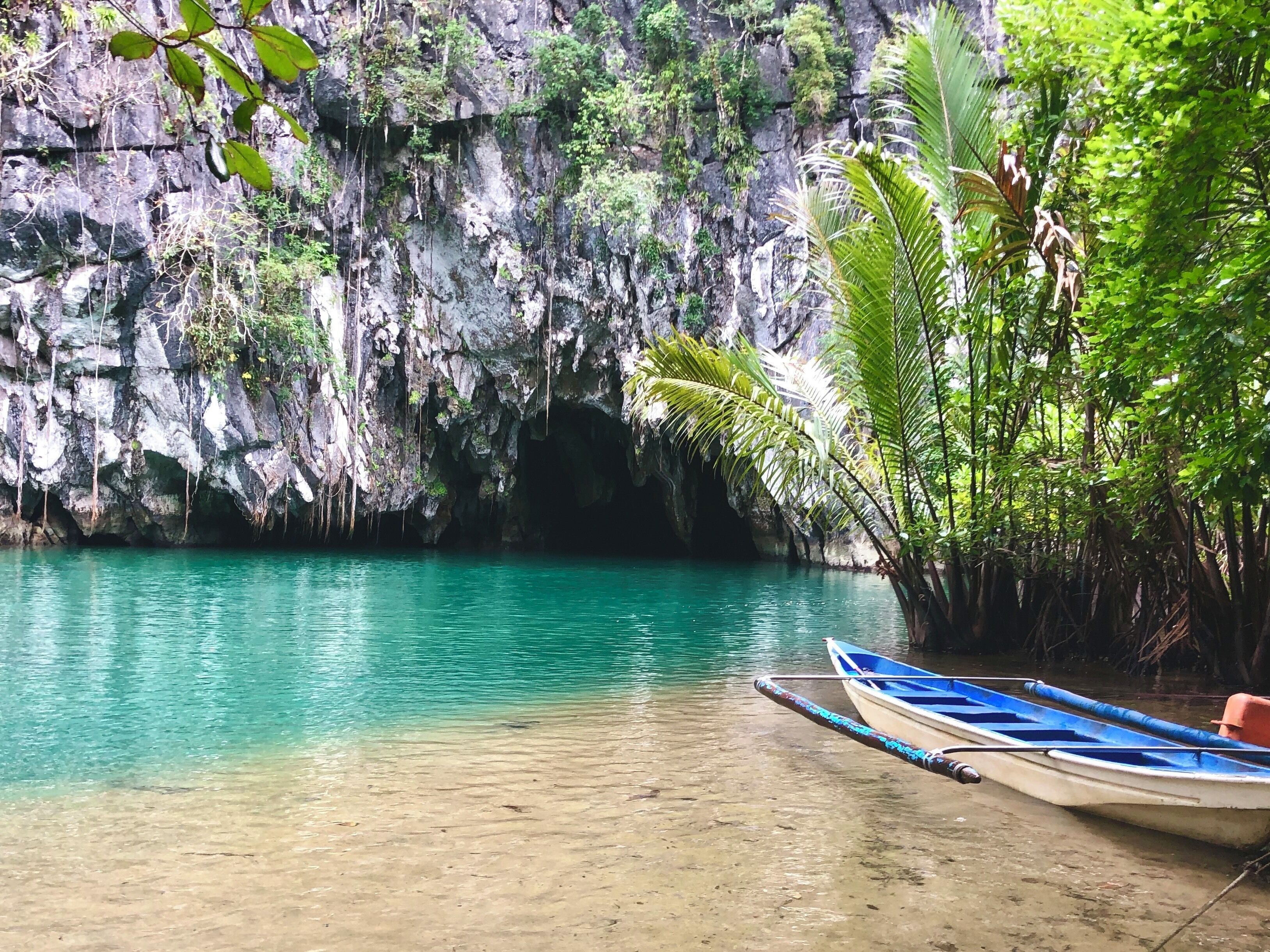 The river cruise in and out takes about 45 mins by row boat.