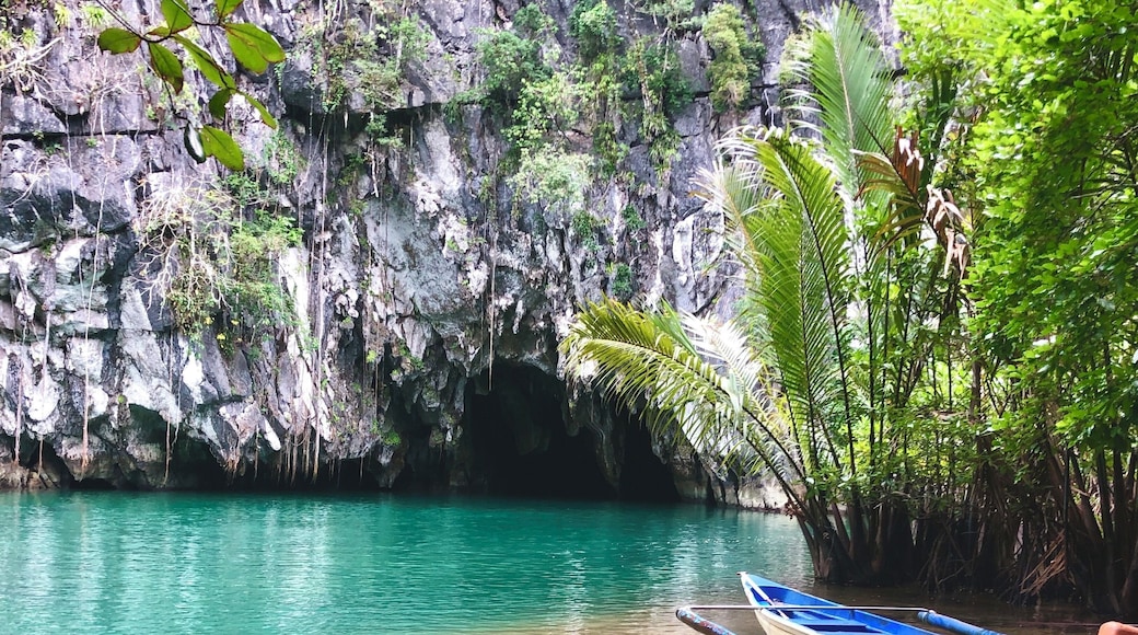 The river cruise in and out takes about 45 mins by row boat.