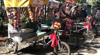Tricycles inside Plaza Cuartel for visitors to take photos