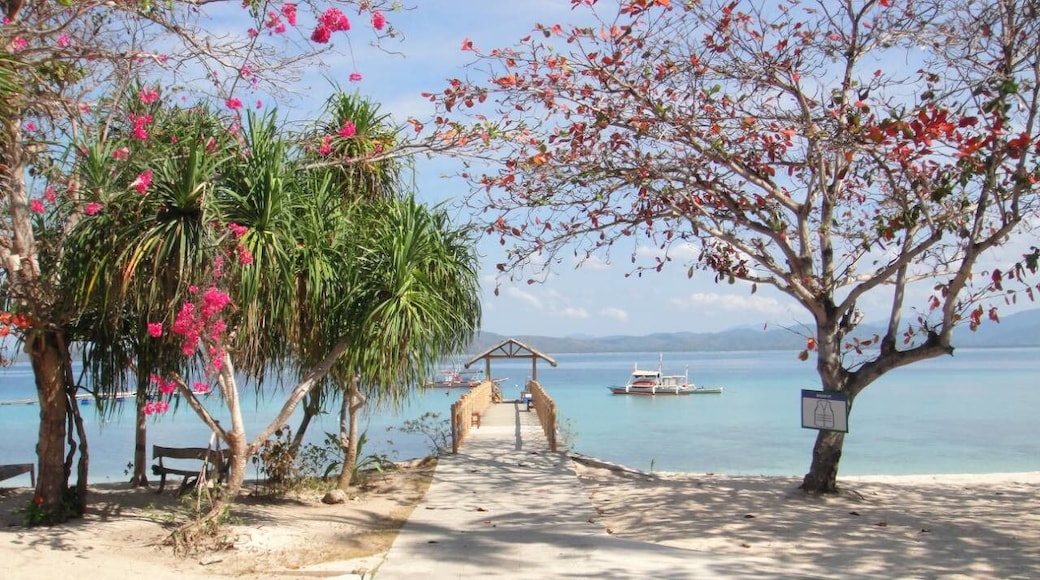 Dos Palmas Island Resort & Spa.
On a private 20-hectare island in Honda Bay, this refined resort is accessible only by ferry, and is approximately 15 km from the town of Puerto Princesa on the mainland.
Modern beachfront villas feature terraces or verandas, as well as free Wi-Fi and minibars. Upgraded villas have living rooms with flat-screen TVs and DVD players.
Breakfast and welcome drinks are free, and there's a tropical restaurant and a bar. Other amenities consist of a kids' playground, an infinity pool and a hot tub, plus a spa. Activities include water sports, diving and volleyball, as well as tennis, biking and basketball. There's also a mangrove trail.