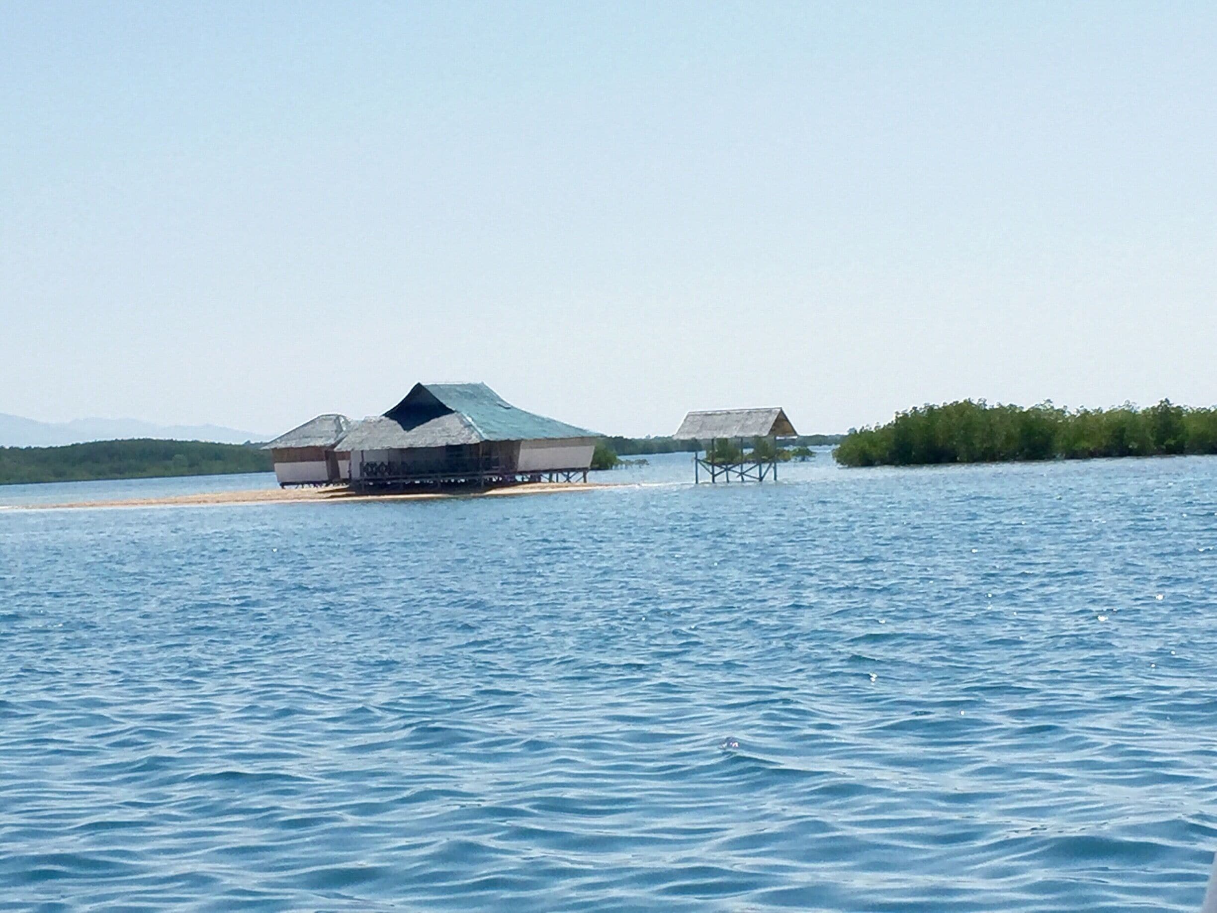 Paradise in the middle of the ocean 🌴🌳🏝