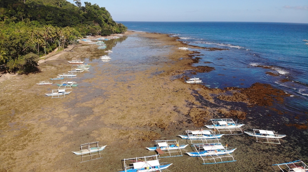 The port where you board the boat to the unesco site, Underground River
