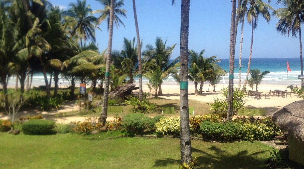 Beautiful cottages in Sabang with an amazing view.
Tipp: ask for Standard room or Junior Suite 202!
You will get this view and this view.